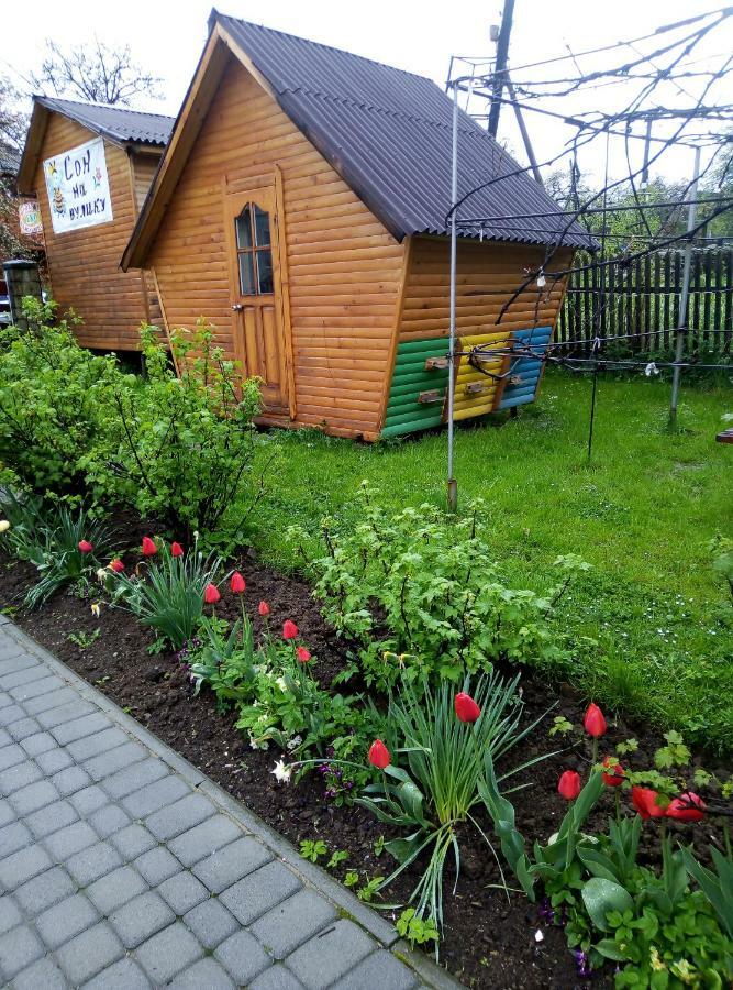 "У Пасічника" Котедж Для Сім'Ї ياريمتشي المظهر الخارجي الصورة